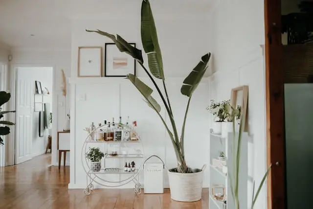 Interior Designer 6 How to find out best interior designer? KitchenCare Pakistan
